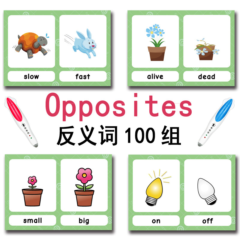 The 100 Groups Opposites Flash - Kids Educational Device review and price