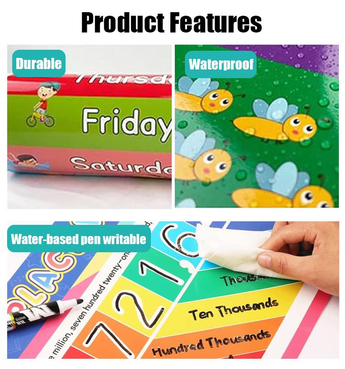 16 PCS Educational Posters for - Kids Educational Poster review and price