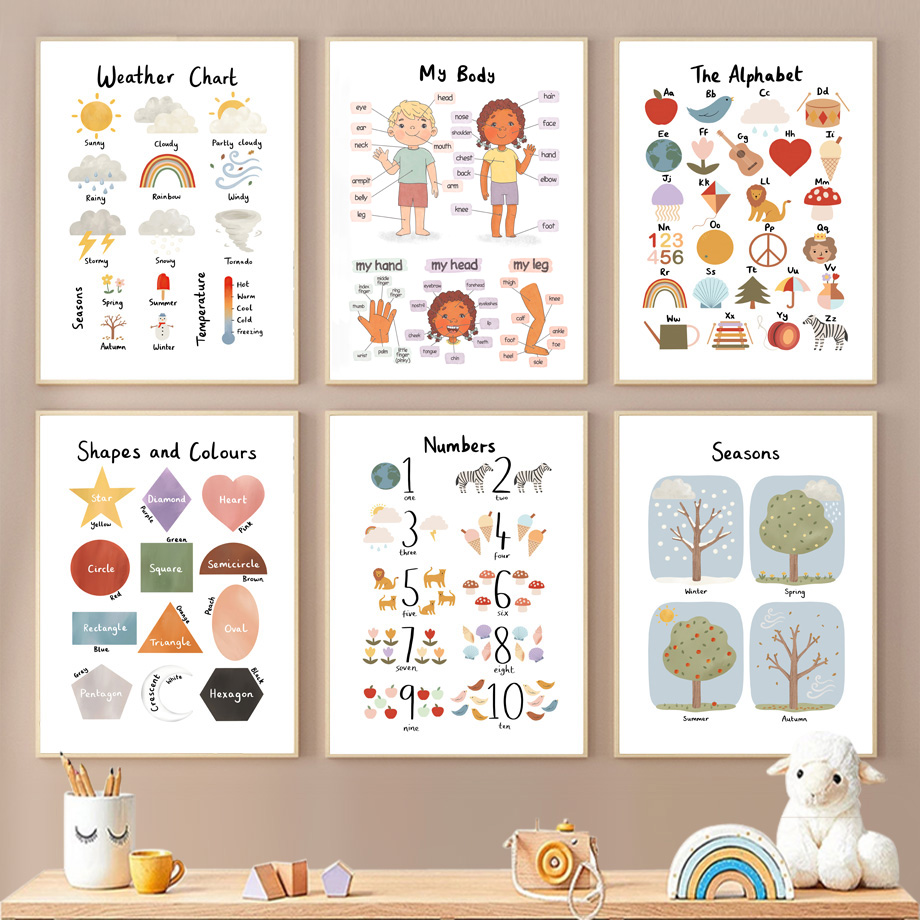 1PC  Seasons Shapes Colors Bod - Kids Educational Poster review and price