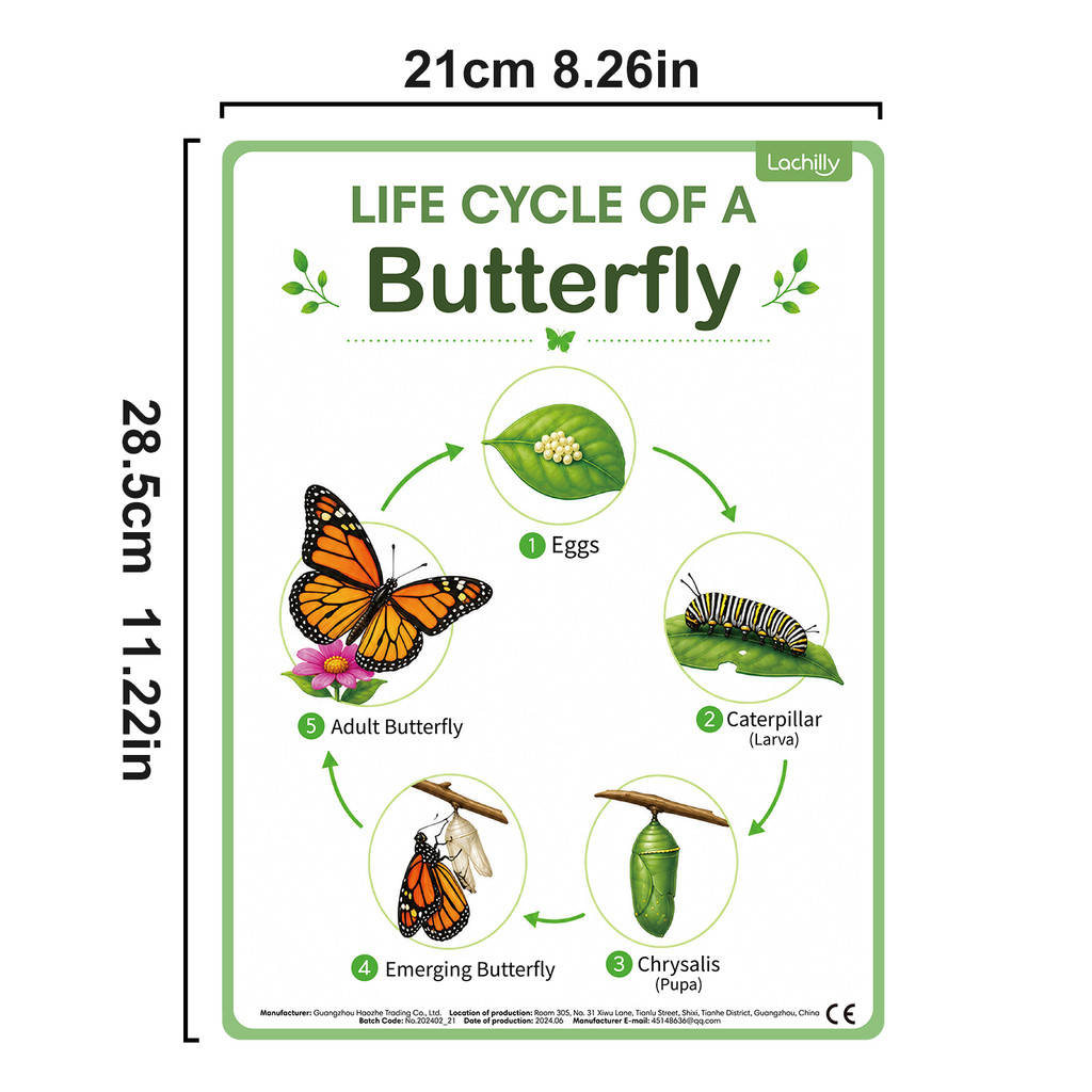 8Pcs Nature Life Cycle Educati - Kids Educational Poster review and price