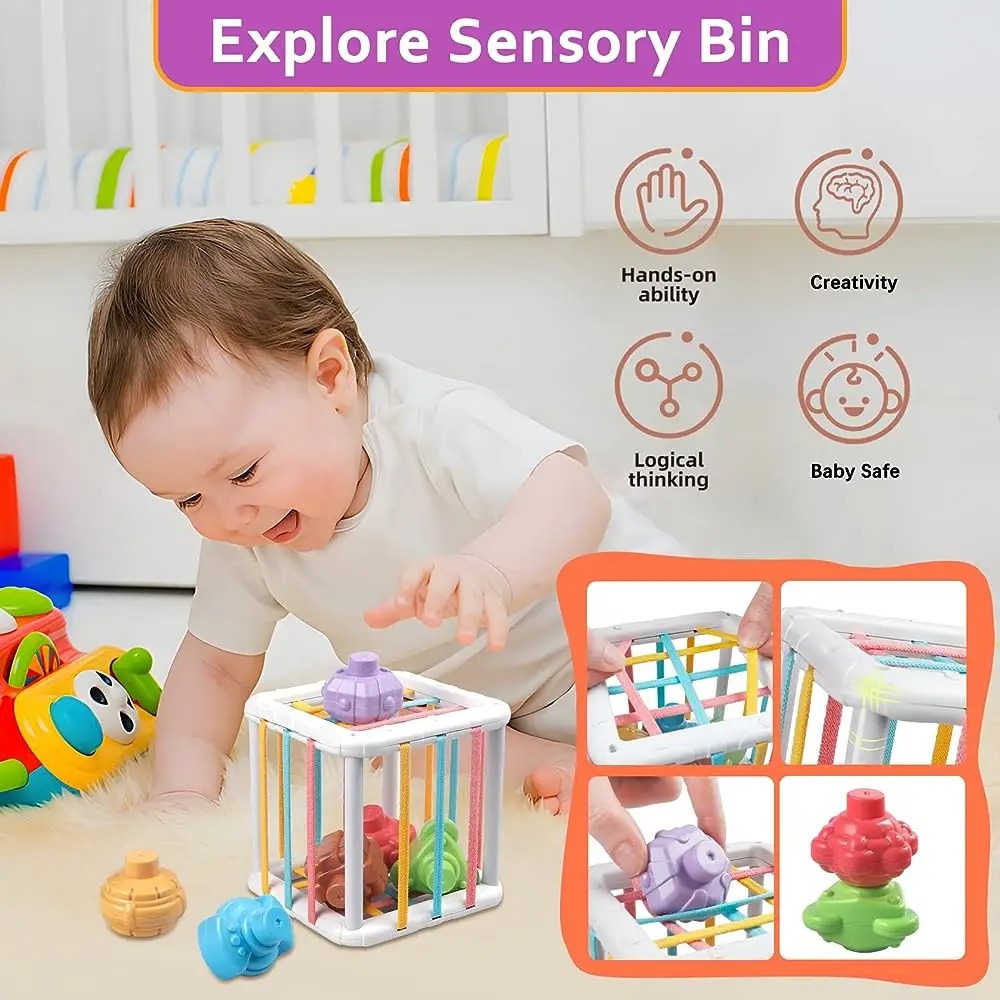 Rainbow Colorful Montessori Sh - Kids Educational Device review and price