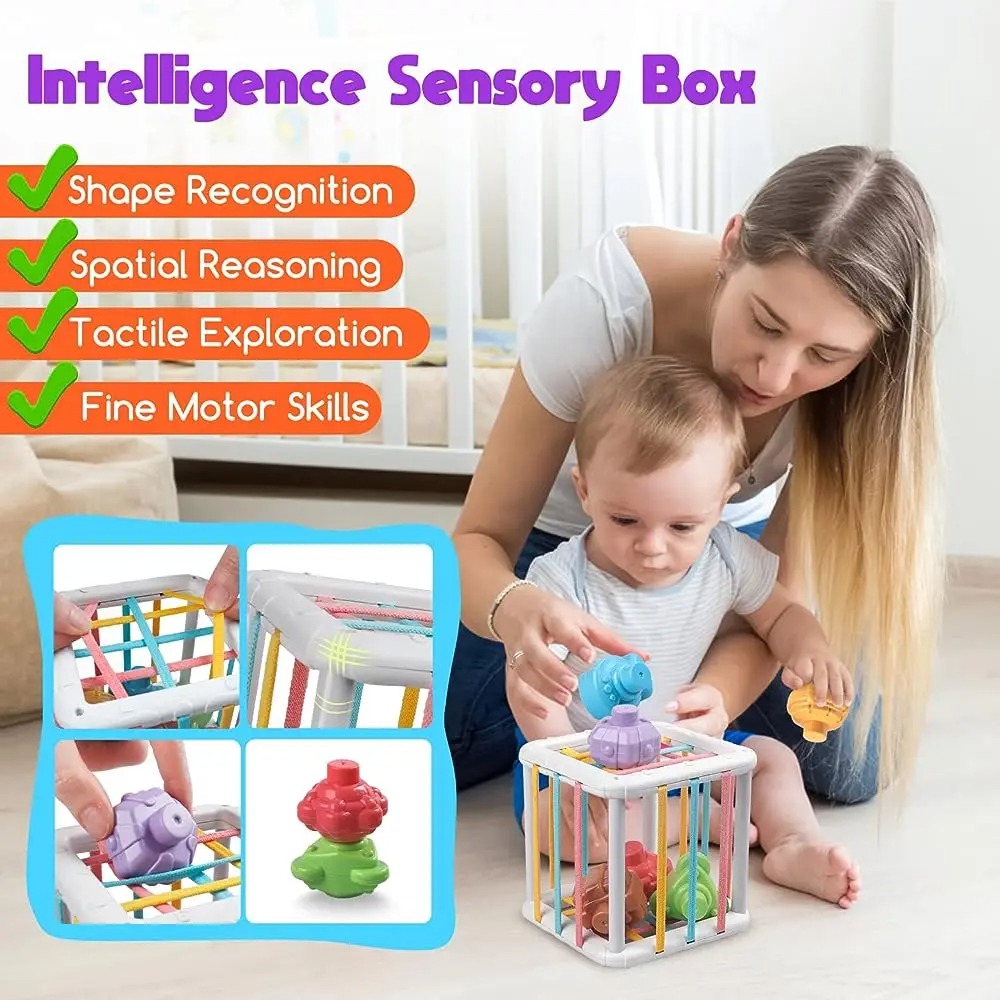 Rainbow Colorful Montessori Sh - Kids Educational Device review and price