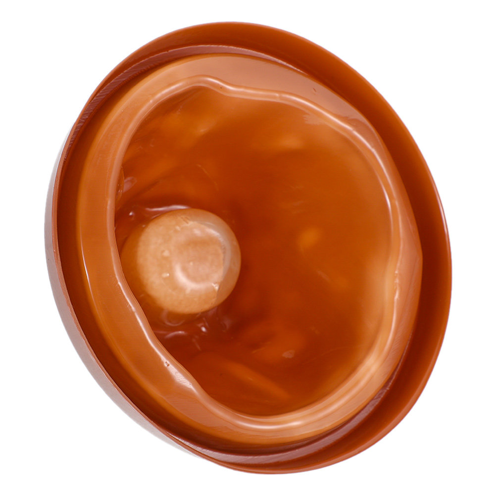 Plastic Volcano Shell and Base - Science Kit Volcano review and price